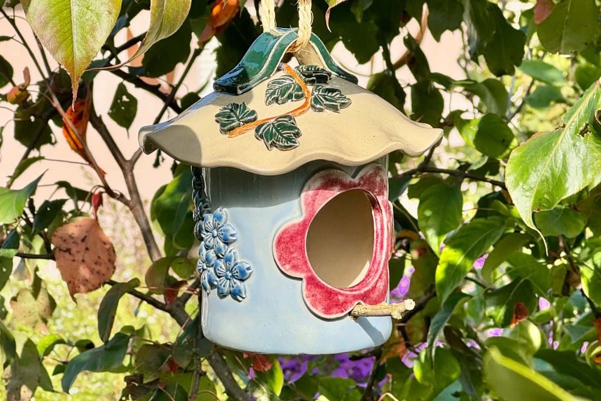 Mangeoire pour oiseaux